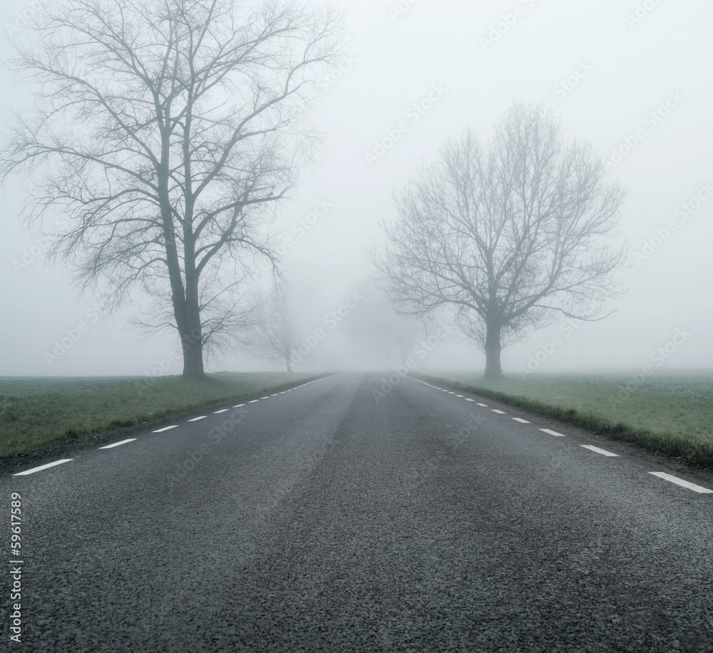 Empty road at morning autumn day