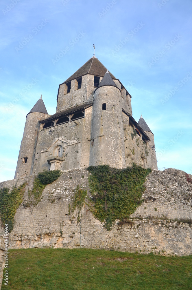 Citadelle médiévale de provins 