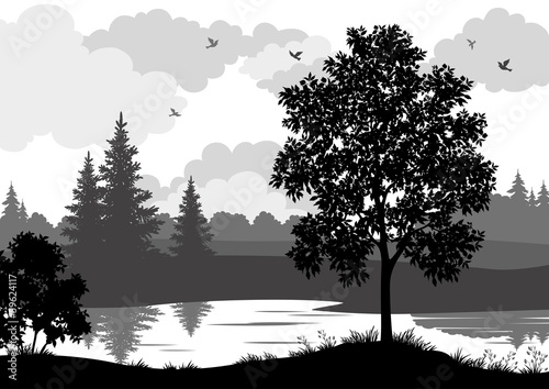 Landscape, trees, river and birds silhouette