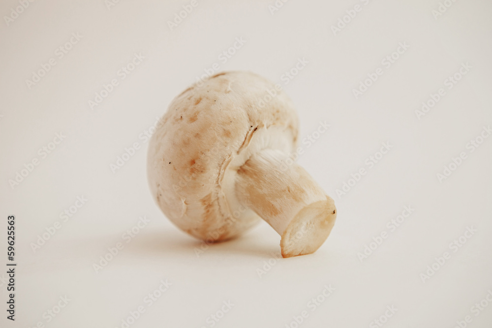 Mushroom. Mushroom.