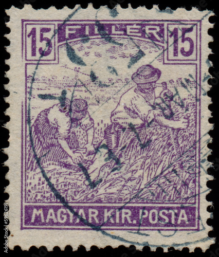 HUNGARY - CIRCA 1916: A stamp printed in Hungary shows Harvestin