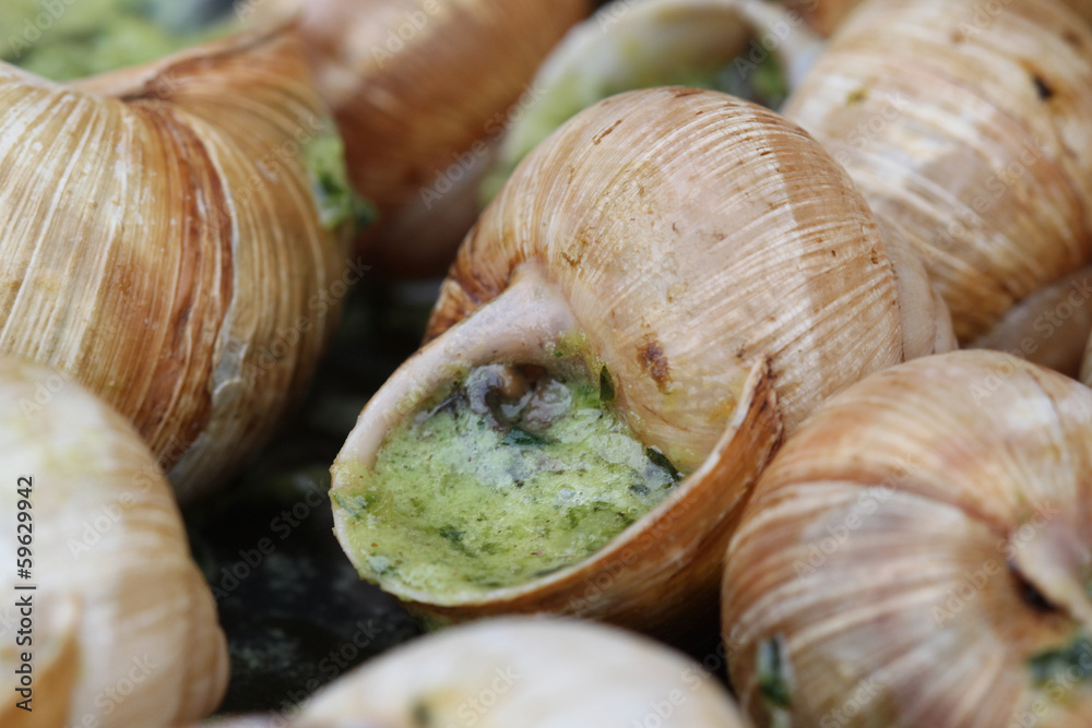 escargots escargots