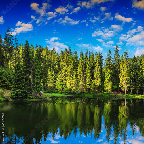 Mountain lake in coniferous forest