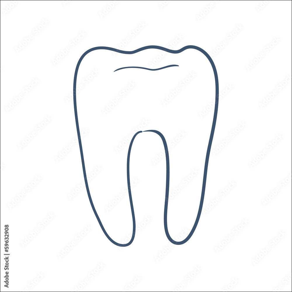 Tooth isolated on white. Tooth isolated on white.