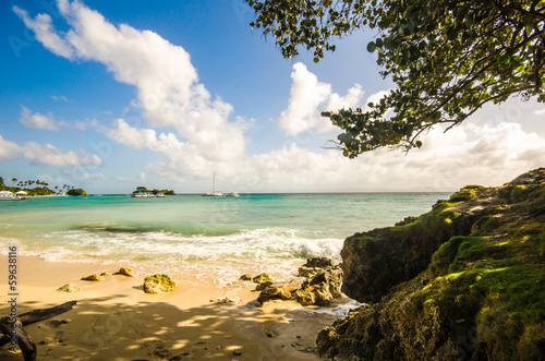 Fototapeta Naklejka Na Ścianę i Meble -  Lonely caribbean beach