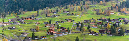 Grindelwald Village, Switzerland #59638162