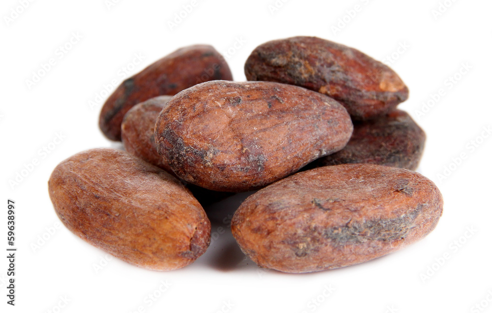 Cocoa beans isolated on white Cocoa beans isolated on white