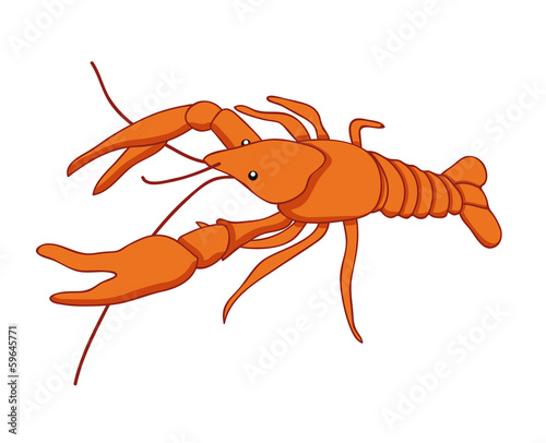 Lobster isolated illustration