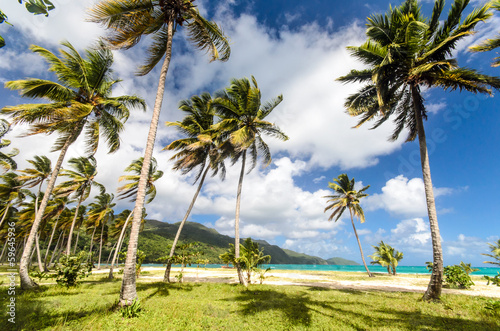 Lonely caribbean beach  Playa Rincon 