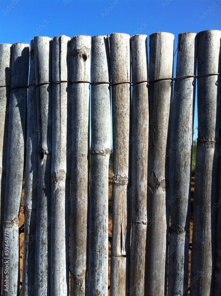 Fototapeta premium Cercado