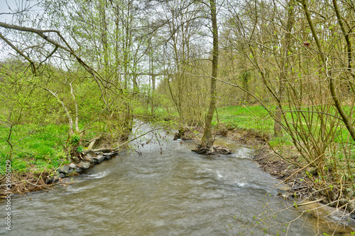 Sarthe, picturesque landscape in Saint georges le gaultier photo