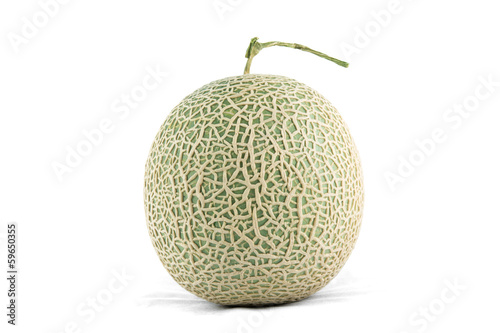 cantaloupe melon isolate