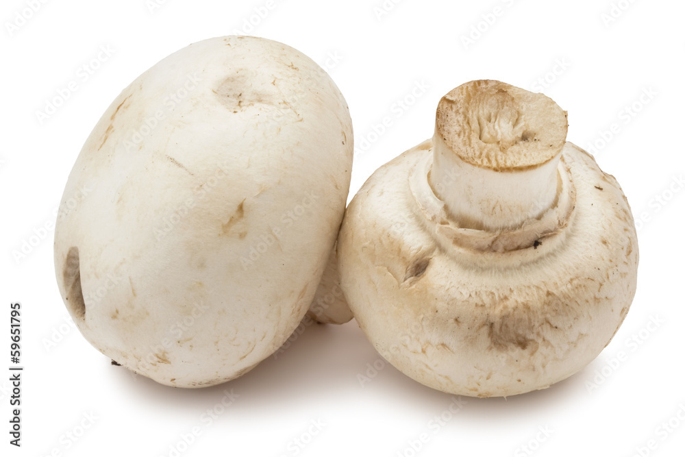 Champignon mushrooms Champignon mushrooms