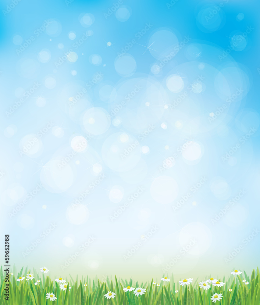 Vector sky background with grass and chamomiles. - obrazy, fototapety, plakaty 
