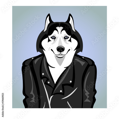 Huskies in sports jacket and black leather