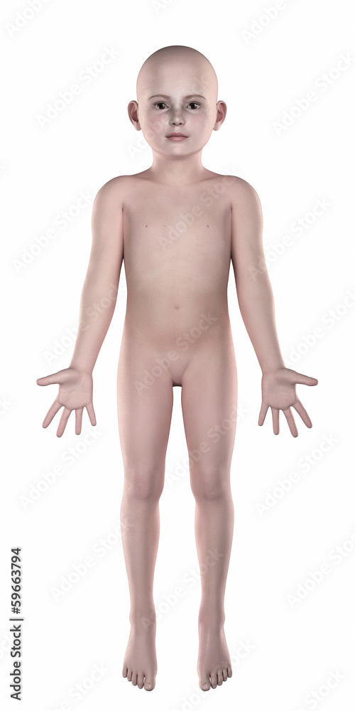 Fototapeta premium Boy anatomical pose isolated anterior