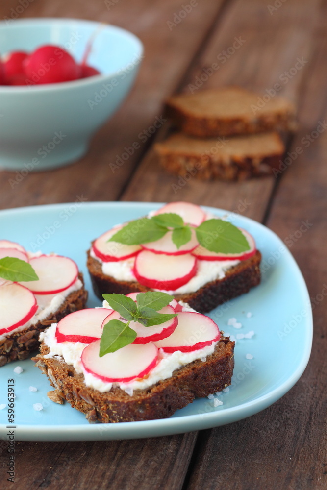 sandwich on rye bread with soft cheese and radishes sandwich on rye bread with soft cheese and radishes