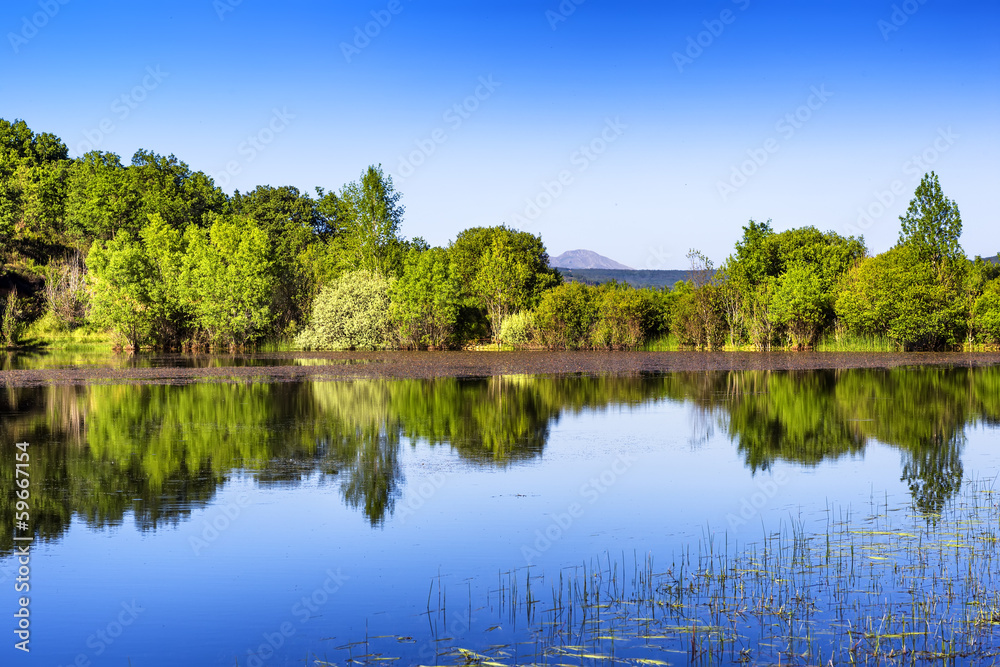 Landscape of a forest and lake