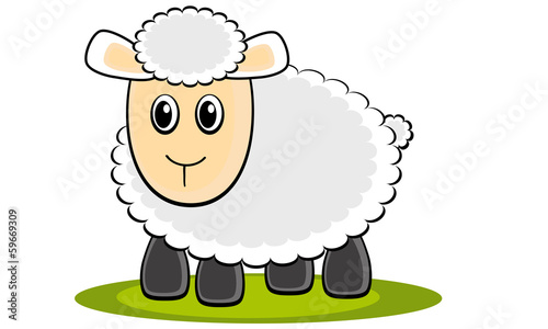 Sheep