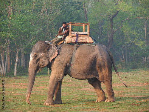 Photography elephant