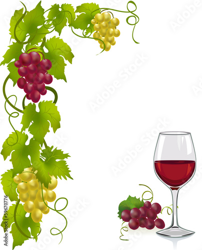 grapevine and wine glass