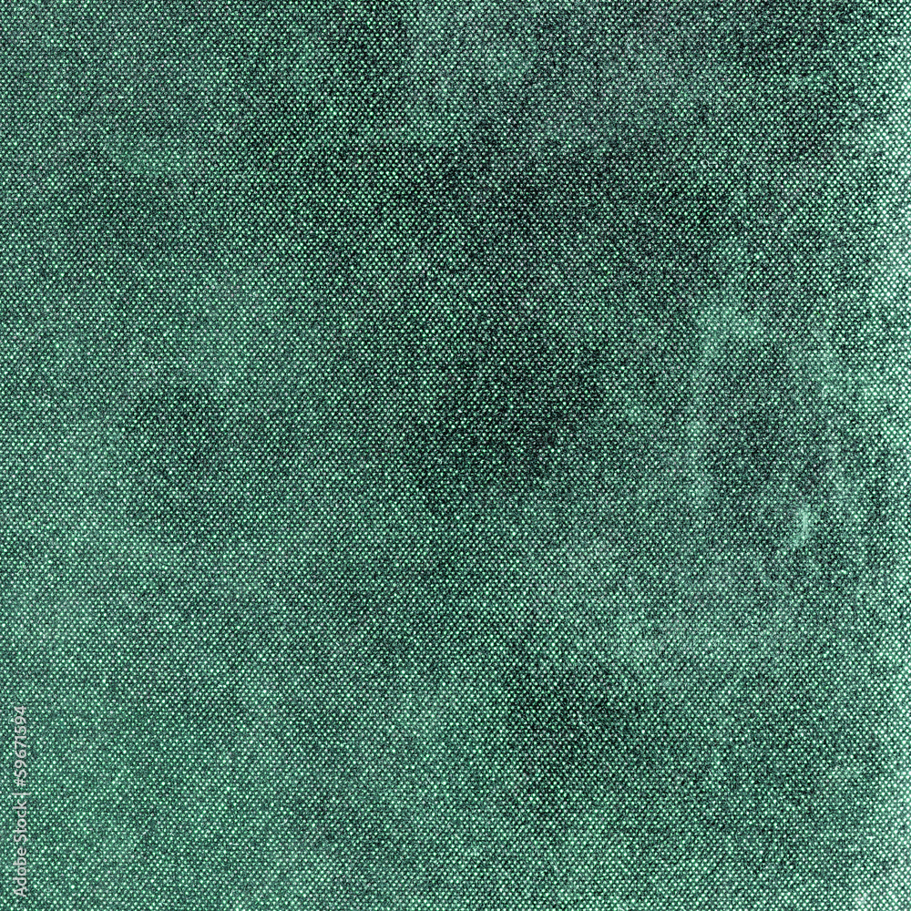 Fototapeta premium green leather texture