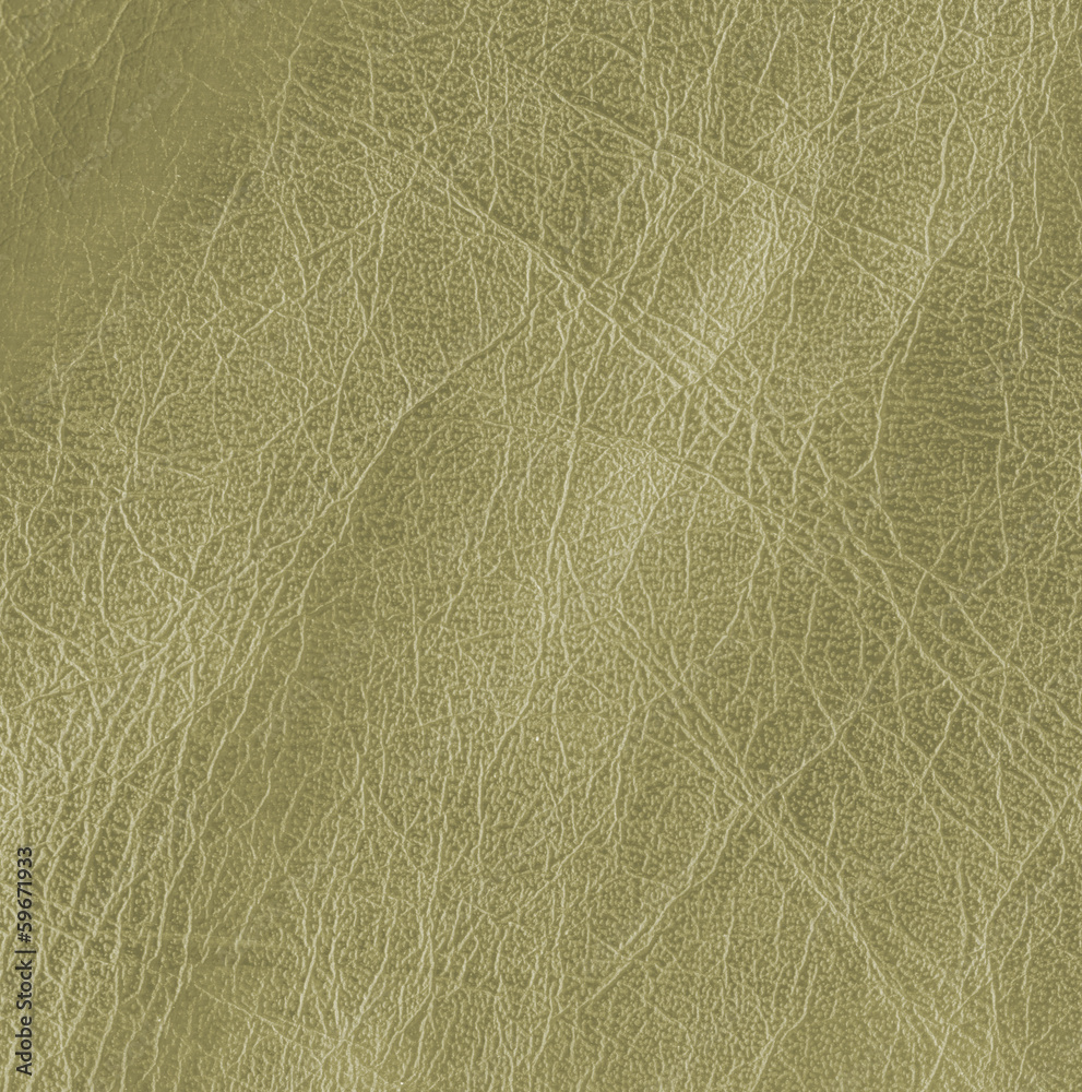Obraz premium green leather texture