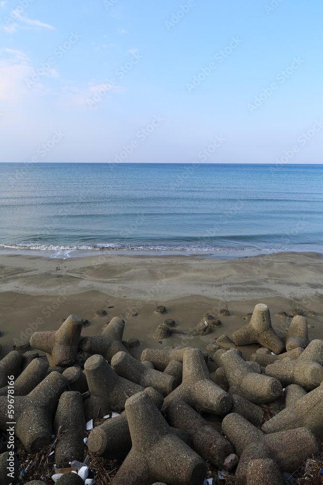 海 海