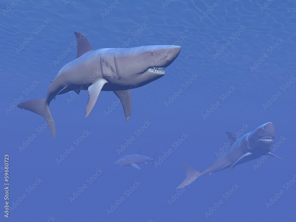 Naklejka premium Sharks - 3D render