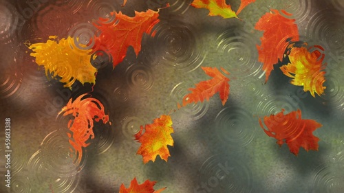 Осенние листья под дождем плывут по течению реки