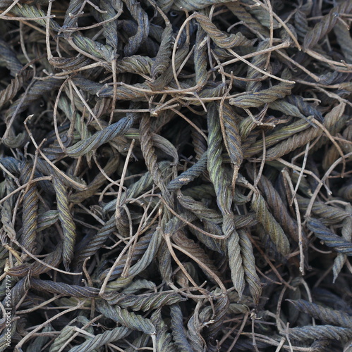 close up dry Chinese herb