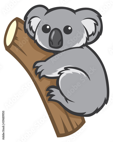 cute koala on a tree