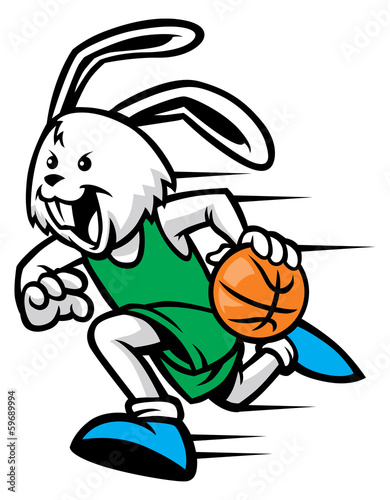 rabbit play basketball