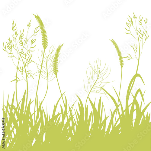 background silhouette of motley grass