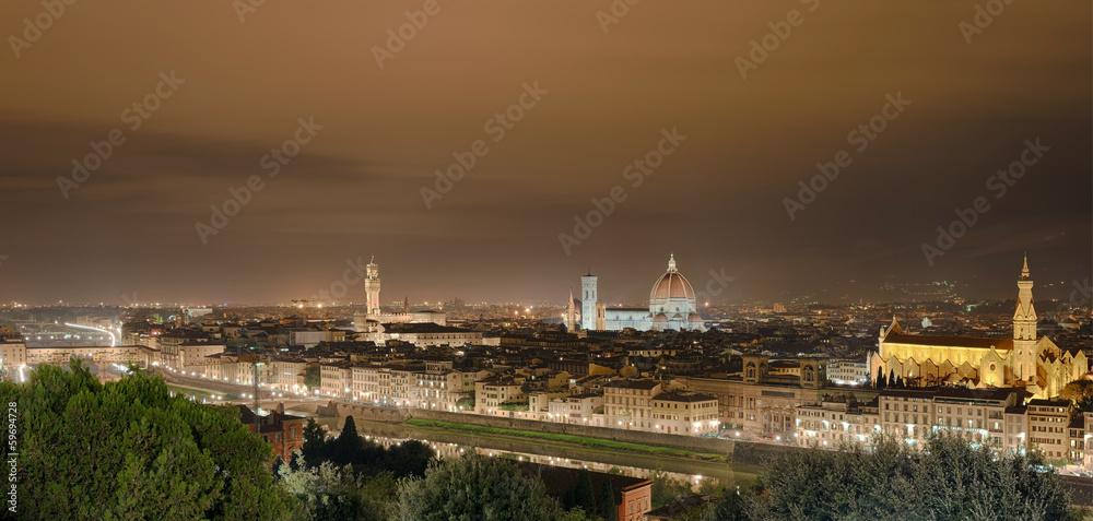 Palazzio Vecchio Dom Panorama Florenz Italien