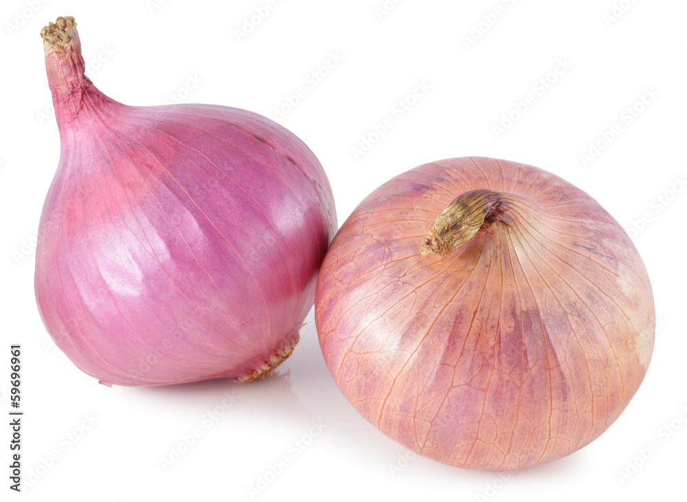 Fototapeta premium Onion on white background