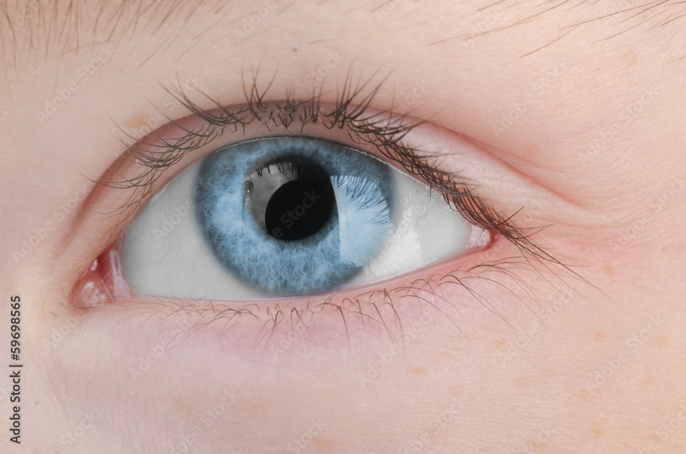 Female blue eye close up. Female blue eye close up.