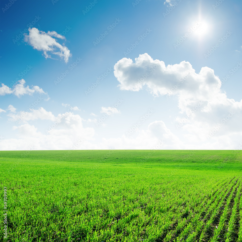 sun in blue sky with clouds and green field