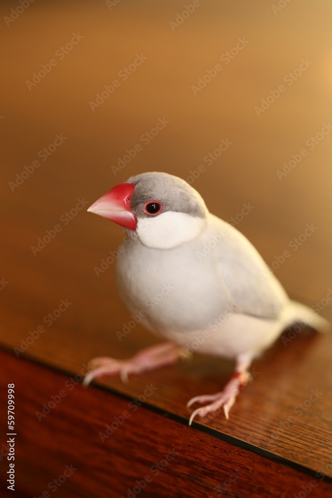 1000_F_59709998_YLhW6dRurtatWE