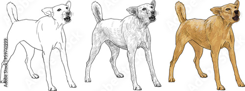 Barking dog