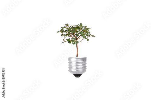 Renewable Energy
