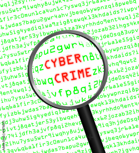 Cyber Crime revealed in computer machine code through a magnifyi photo