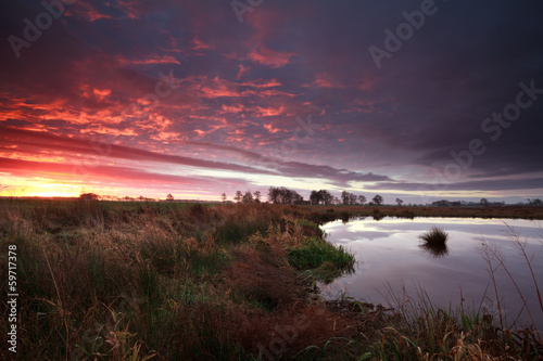 dramatic sunrise over swamp