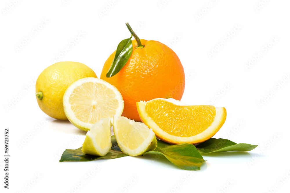 citrus citrus