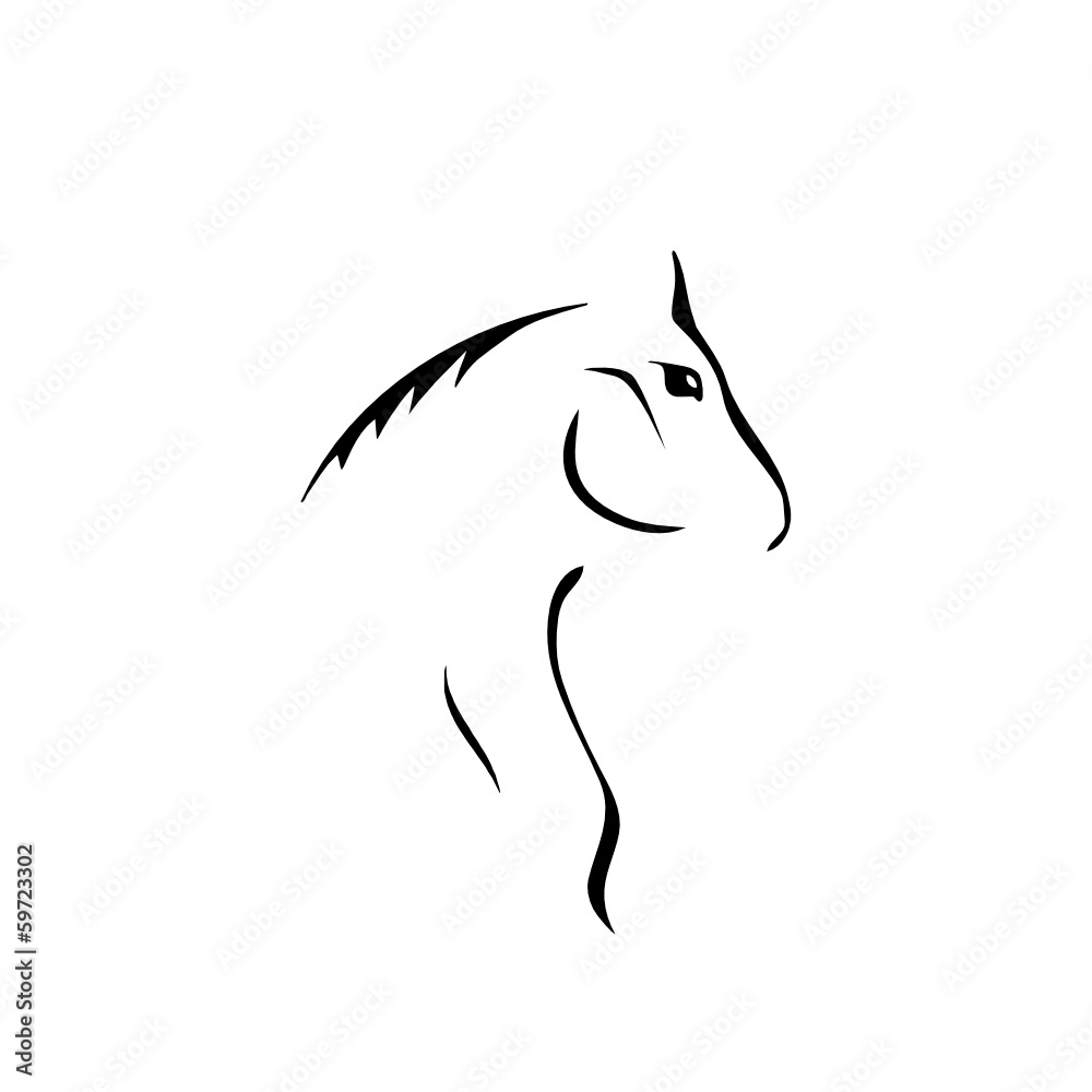 Cavalo Cavalo