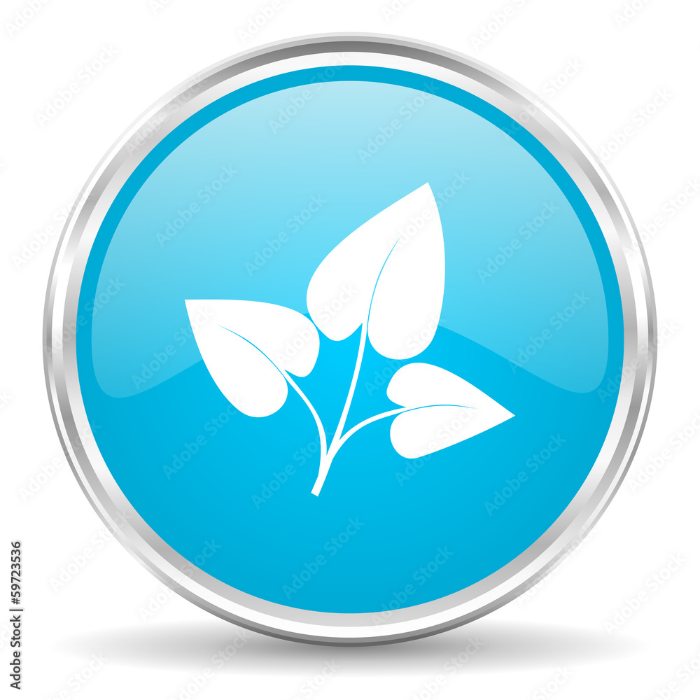 leaf icon leaf icon