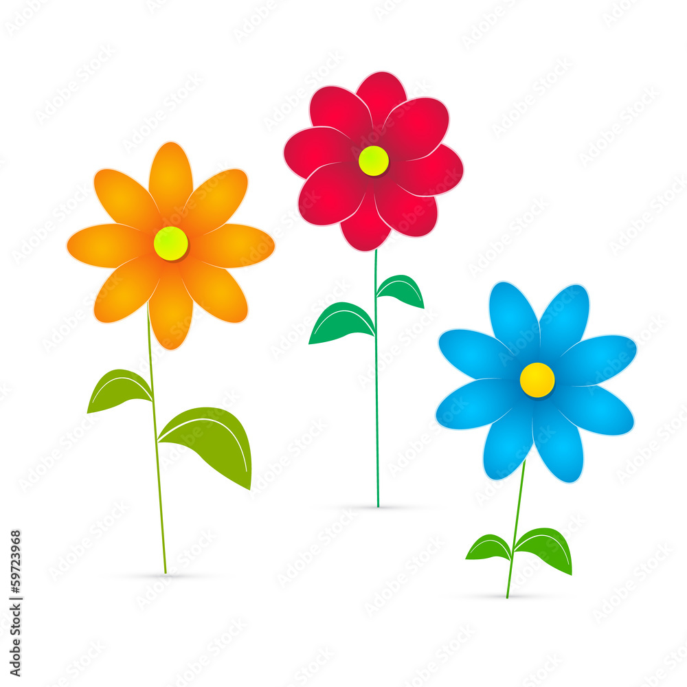 Vector Flowers Illustration Isolated on White Background Stock Vector ...