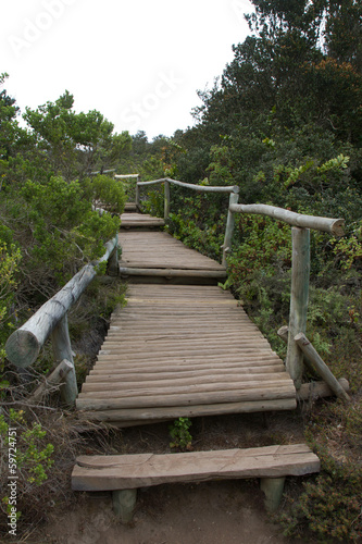Bosque de Fray Jorge national park, UNESCO Biosphere, Chile