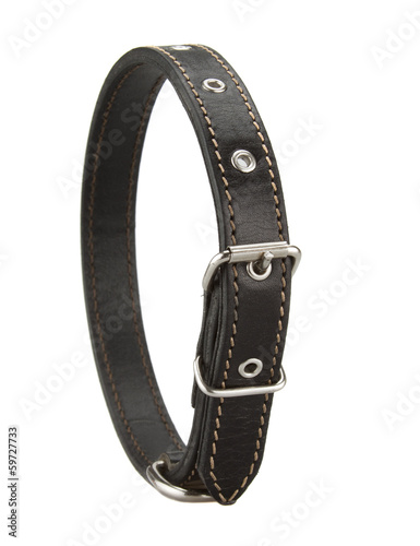 black leather dog collar isolated on white background photo