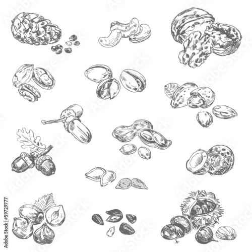 Freehand drawing nuts